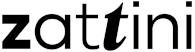 Zattini
