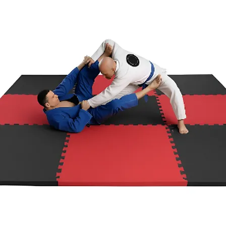 Tatame 1m X 1m 30mm Profissional Academia Luta Eva Premium
