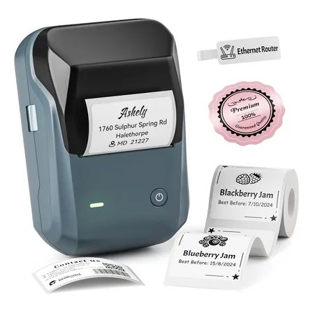 Impressora Térmica NIIMBOT B1