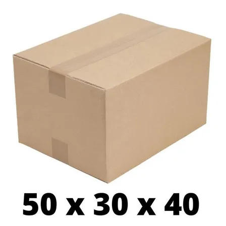 Kit 10 Caixa Papelão 50x30x40 Grande Mudança S Sedex Marrom-claro