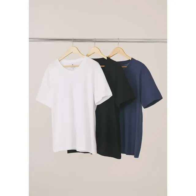 Kit Com 3 Camisetas Masculinas Básicas Slim Gola V Hering