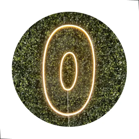 Números De Neon Led 0 A 9 Painel Placa Decoração Festa 50 Cm