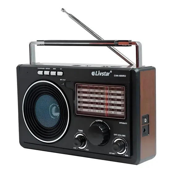 Radio Antigo Para Levar Zona Rural Pesca E Casa Usb Bluetoot