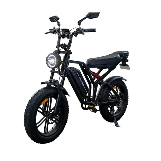 Bicicleta Scooter Elétrica Wehawk Wx-19 750w 48v Autonomia 60km Sem Cnh Ciclomotor Elétrico Potente Freio A Disco Banco Duplo Amortecedor All Black Preto