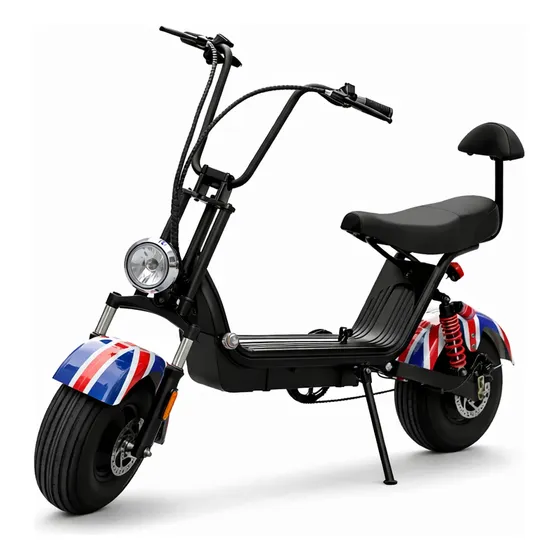 Moto Elétrica Scooter Bicicleta Elétrica 48v 1000w 32km/h Ss