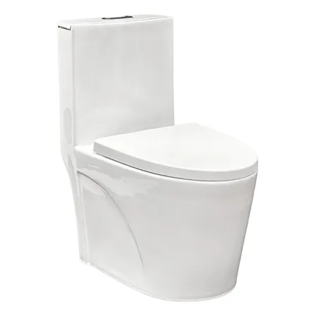 Vaso Sanitário Monobloco Caixa Acoplada Completo Privada - 1 Cor Branco Branco
