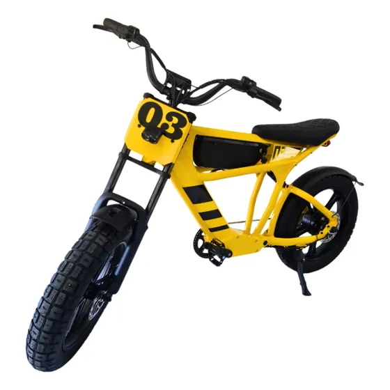 Bicicleta Elétrica Ft03 E-mountain Bike 1000w Potente