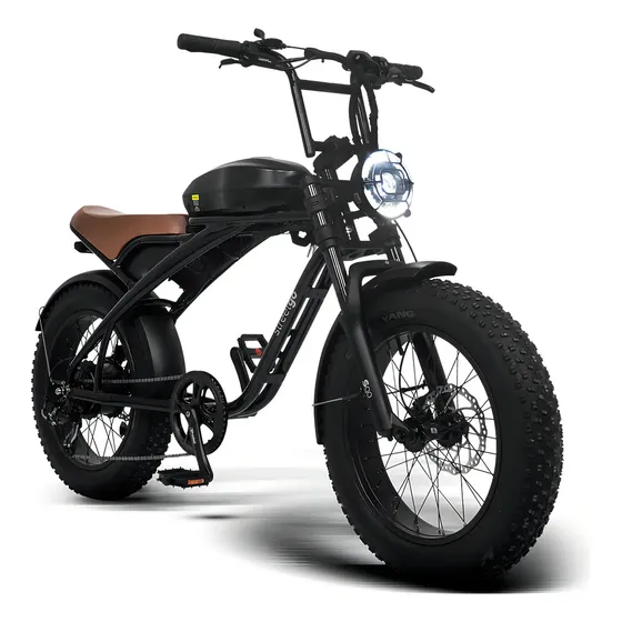 Bicicleta Elétrica 750w Aro 20 Freio Hidráulico 7v 48v S14