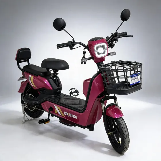 Bicicleta Elétrica Sem Bateria Dx Bike 800w A Mais Potente