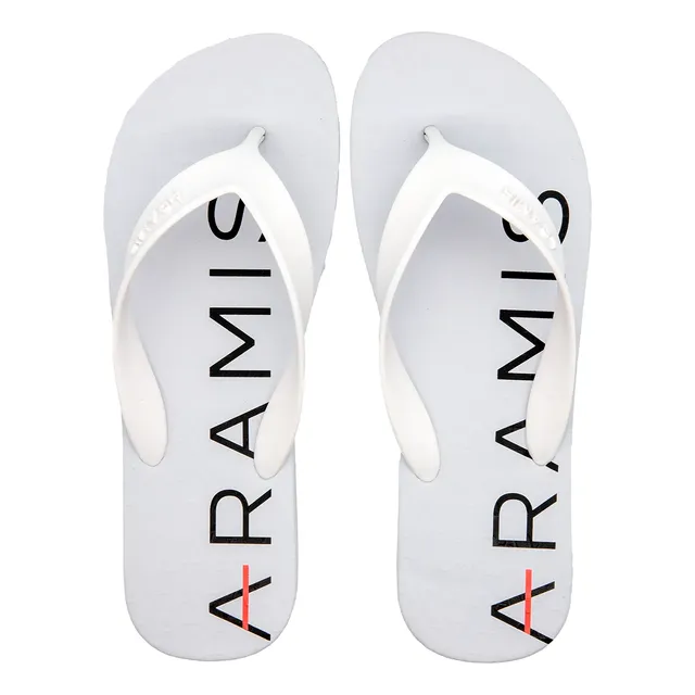 Chinelo Sandália Masculino Moda Casual Original Aramis