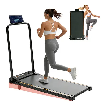 Esteira Elétrica Ergométrica Profissional Doméstica Gym