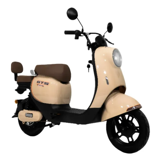 Scooter Retro 500w Gts Premium