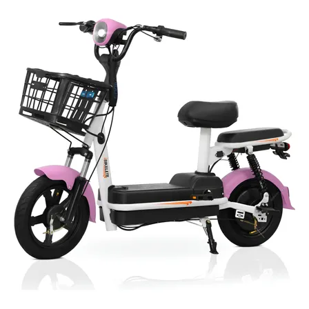 Bicicleta Elétrica 350w Scooter Sem Cnh Bateria Removível