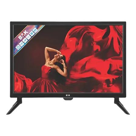Tv Monitor Led Full Hd 24 Polegadas Conversor Digital Bak