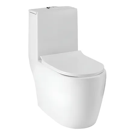 Vaso Sanitário Monobloco Amazonita Branco Pingoo Casa