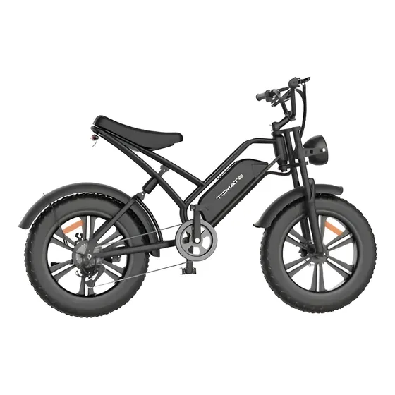 Bicicleta Elétrica 750w Bateria Potente 18ah Ate 45km/h Cor Preto