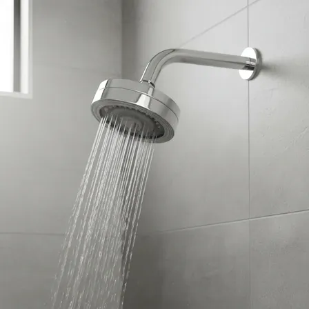 Chuveiro Ducha Gás E Solar Auto Limpante Articulável Cromado