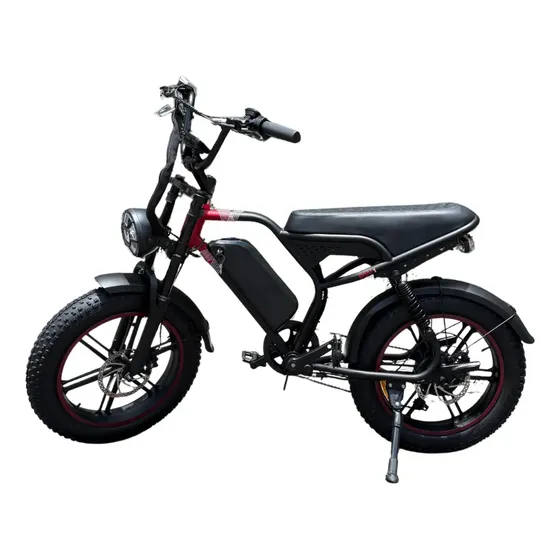 Bicicleta Eletrica 1000w 48v20ah Bw1