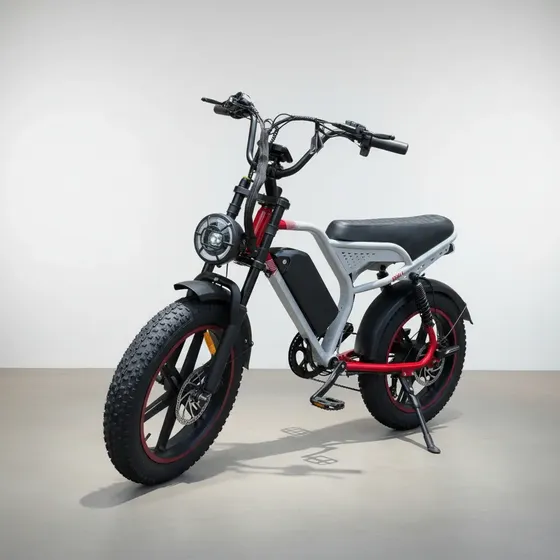 Bicicleta Eletrica 1000w 48v20ah Bw1