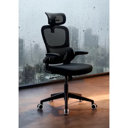 Cadeira De Escritório Ergonômica Supreme Ergon Al Cor Preto.
