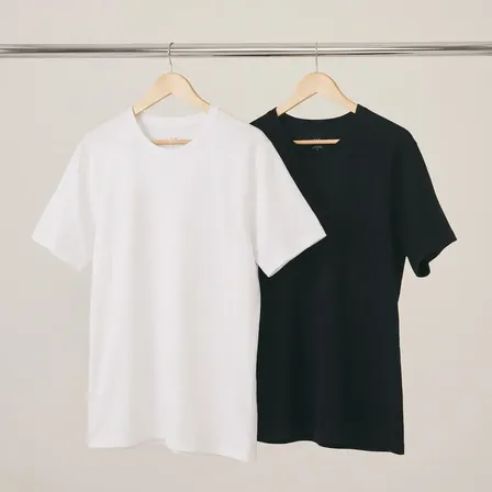 Kit Com 2 Camisetas Masculinas Básicas Hering Original