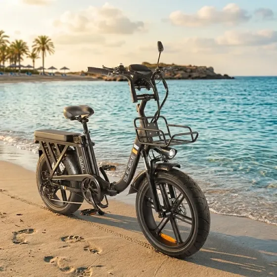 Bicicleta Elétrica Dobrável Ouxi Q11 1000w 65km