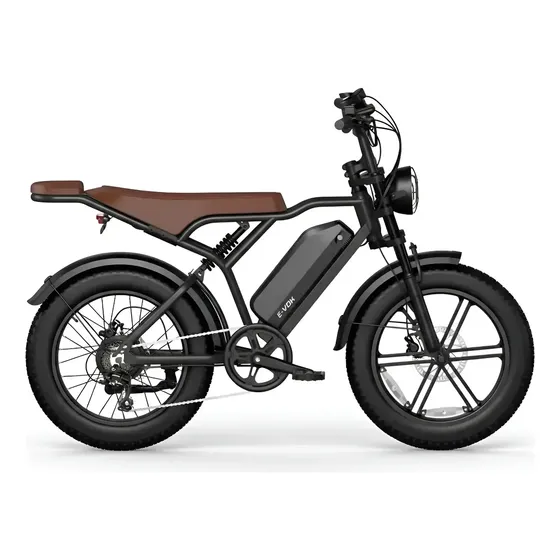 Bicicleta Elétrica Duos Bike E-vok 1000w Bateria De Lítio