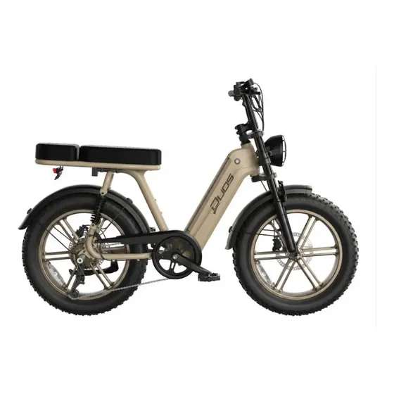 Bicicleta Elétrica Duos E-koa 1000w Bateria Lítio Painel Lcd