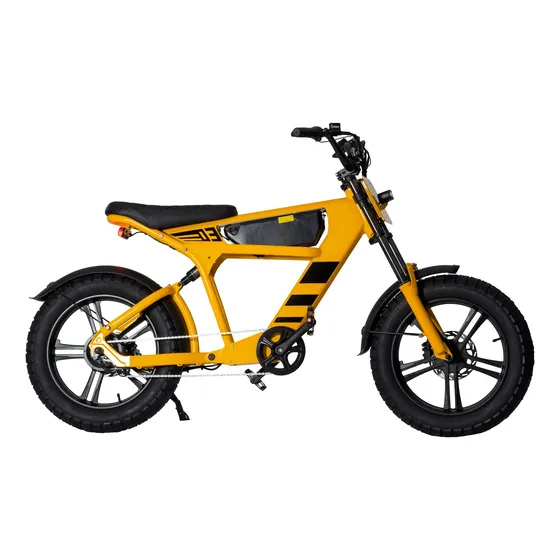 Bicicleta Elétrica Ft03 E-mountain Bike 1000w Design Leve