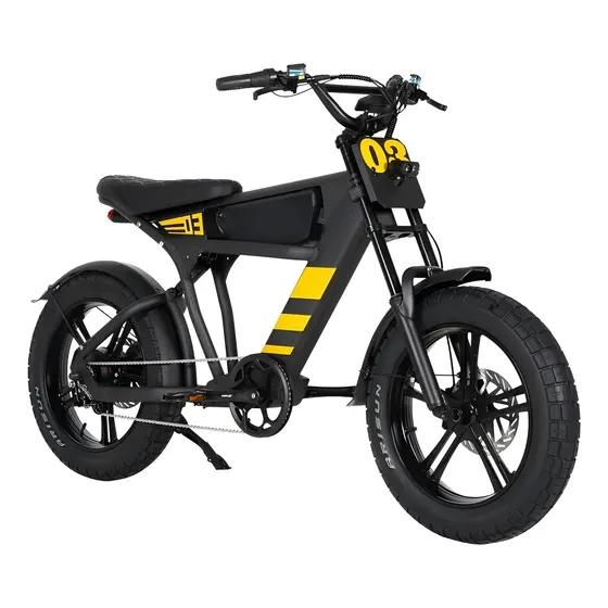 Bicicleta Elétrica Ft03 E-mountain Bike 1000w Potente