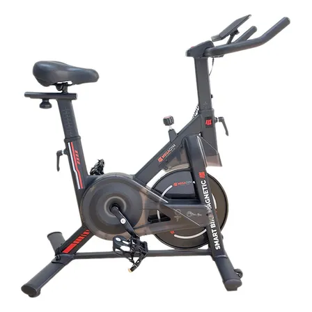 Bicicleta Ergométrica Smart Bike Magnetic Spinning Megagym