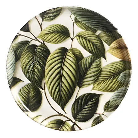 Conjunto com 6 Pratos Raso Bio Éden Ø27,5cm Porto Brasil