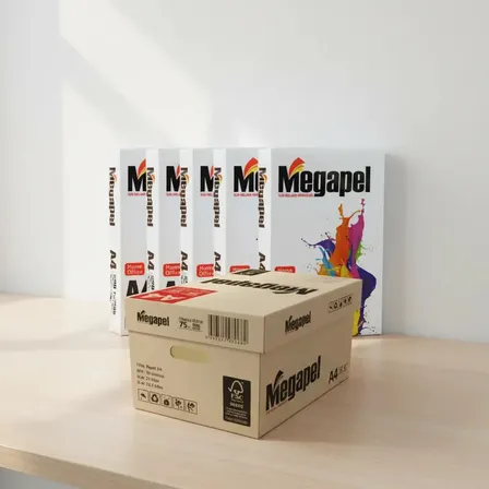 Caixa Papel A4 Sulfite Megapel 75g 5000 Folhas 10 Pacotes Branco