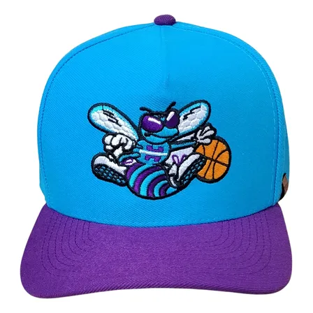 Boné Masculino Aba Meia Curva Charlotte Hornets Retro