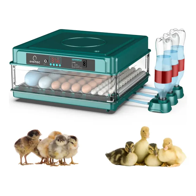 Chocadeira Automática Até 72 Ovos + Ovoscópio - Incubadora