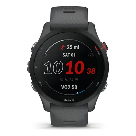 Smartwatch Garmin Forerunner 255 GPS com Monitor Cardíaco e Caixa de 46 mm Cinza Ardósia