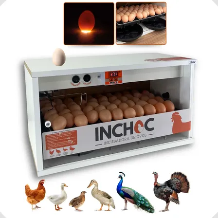 Chocadeira 50 Ovos Galinha Rolagem Automatica + Ovoscopio Branco
