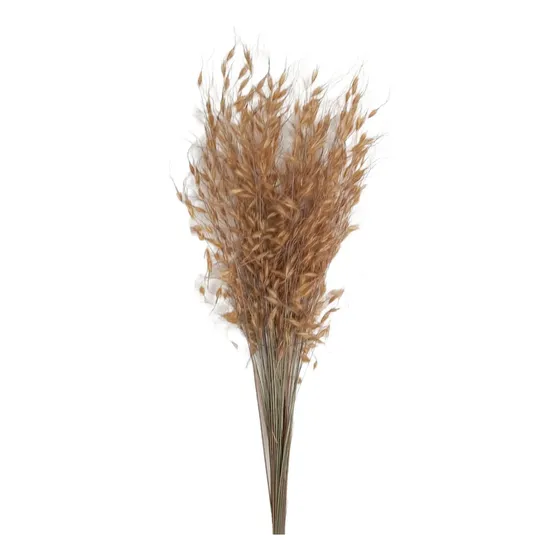 Capim Dourado Natural Brinco De Ouro P/ Decoração Flor Seca