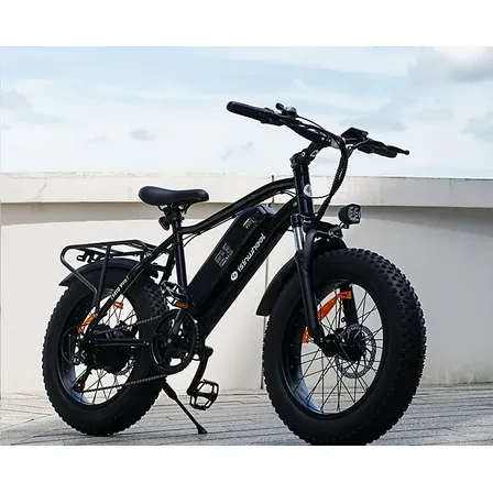 Bicicleta Elétrica M10 Pro Motor 750w 40km/h