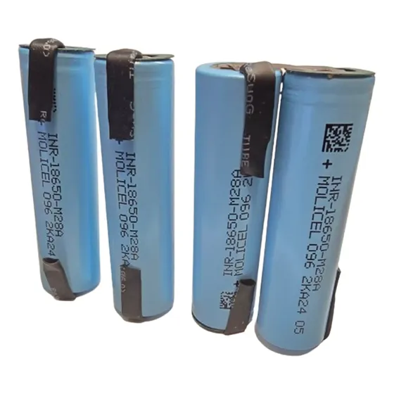 Pack Bateria Para Aspirador Ergorapido 23 24 14,4v 2800mah