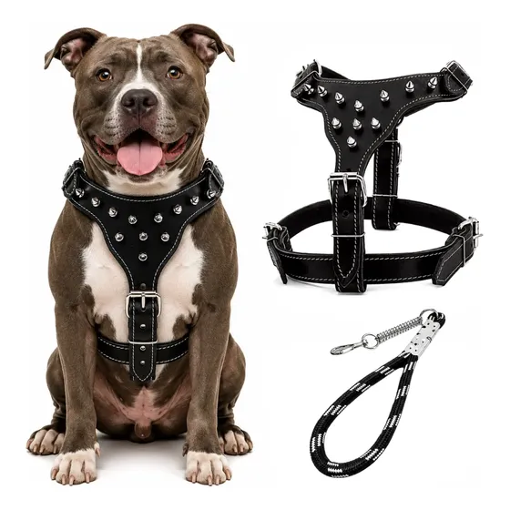 Coleira Peitoral Pitibull Couro Tophub Coleira Para Cachorro