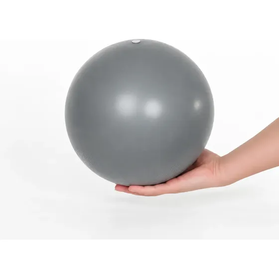 Bola Pilates Fisioterapia Yoga Alongamento Fitness 25 Cm N F