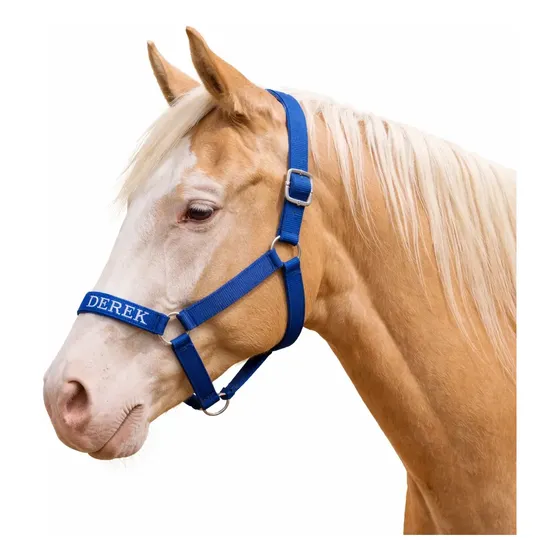 Cabresto Personalizado Para Cavalo Escolha O Nome Desejado