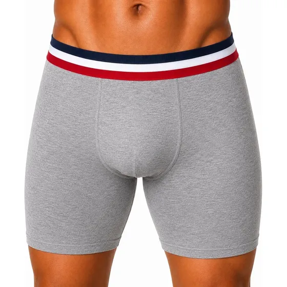 Kit10 Cueca Boxer Long Leg Algodão Box Conforto Antialergica