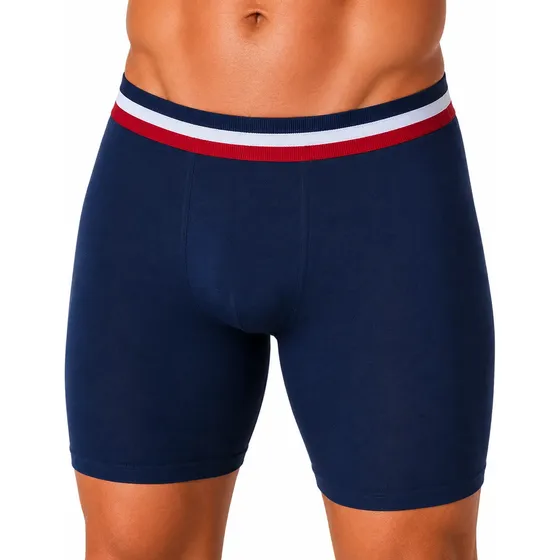 Kit 3 Cueca Boxer Algodão Masculino Long Leg Cueca Box Malha