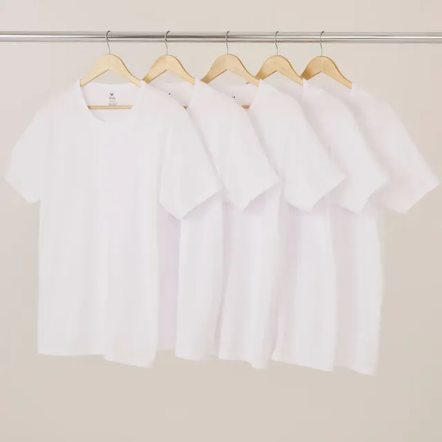 Kit Com 5 Camisetas Masculinas Básicas Slim Hering