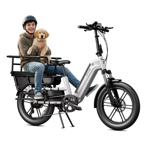 Bicicleta Elétrica De Carga Sisigad 20 1500w 48v 15ah