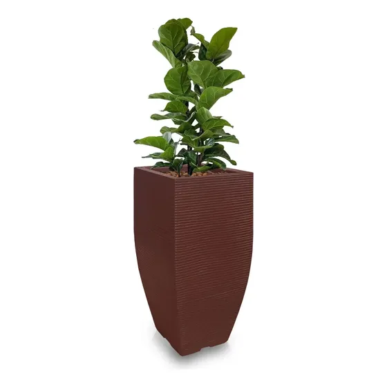 1 Vaso De Planta Aromatizador Natural P/ Ambiente T 75x40