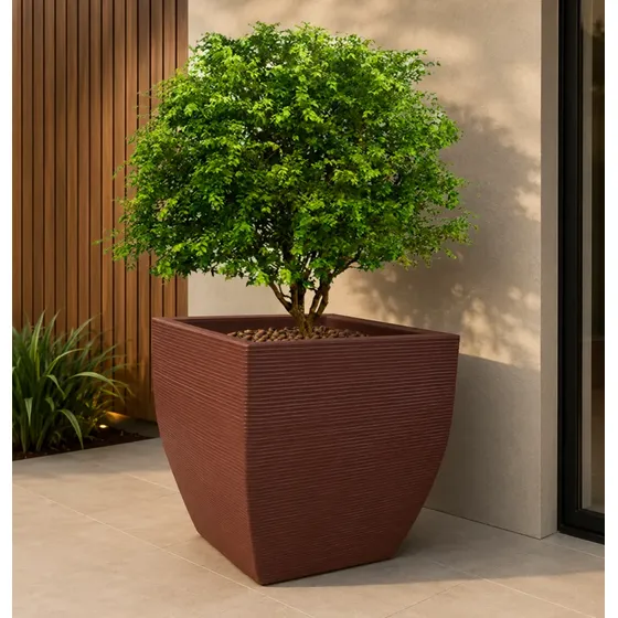 1 Vaso De Planta Grande Arvore Frutifera Jabuticaba 70x70 Cm