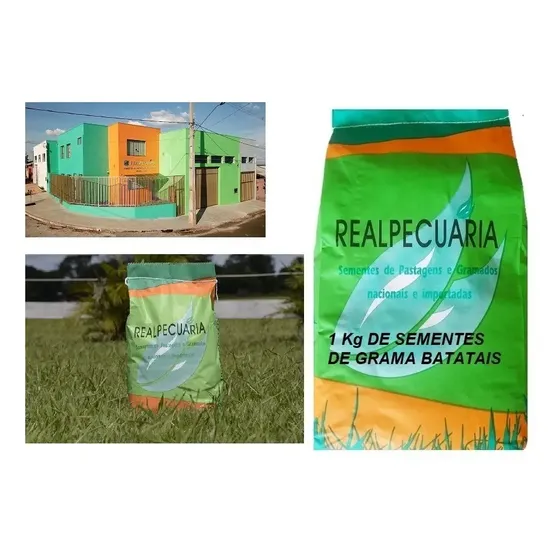 1 Kg De Sementes De Grama Batatais (recém Colhidas)